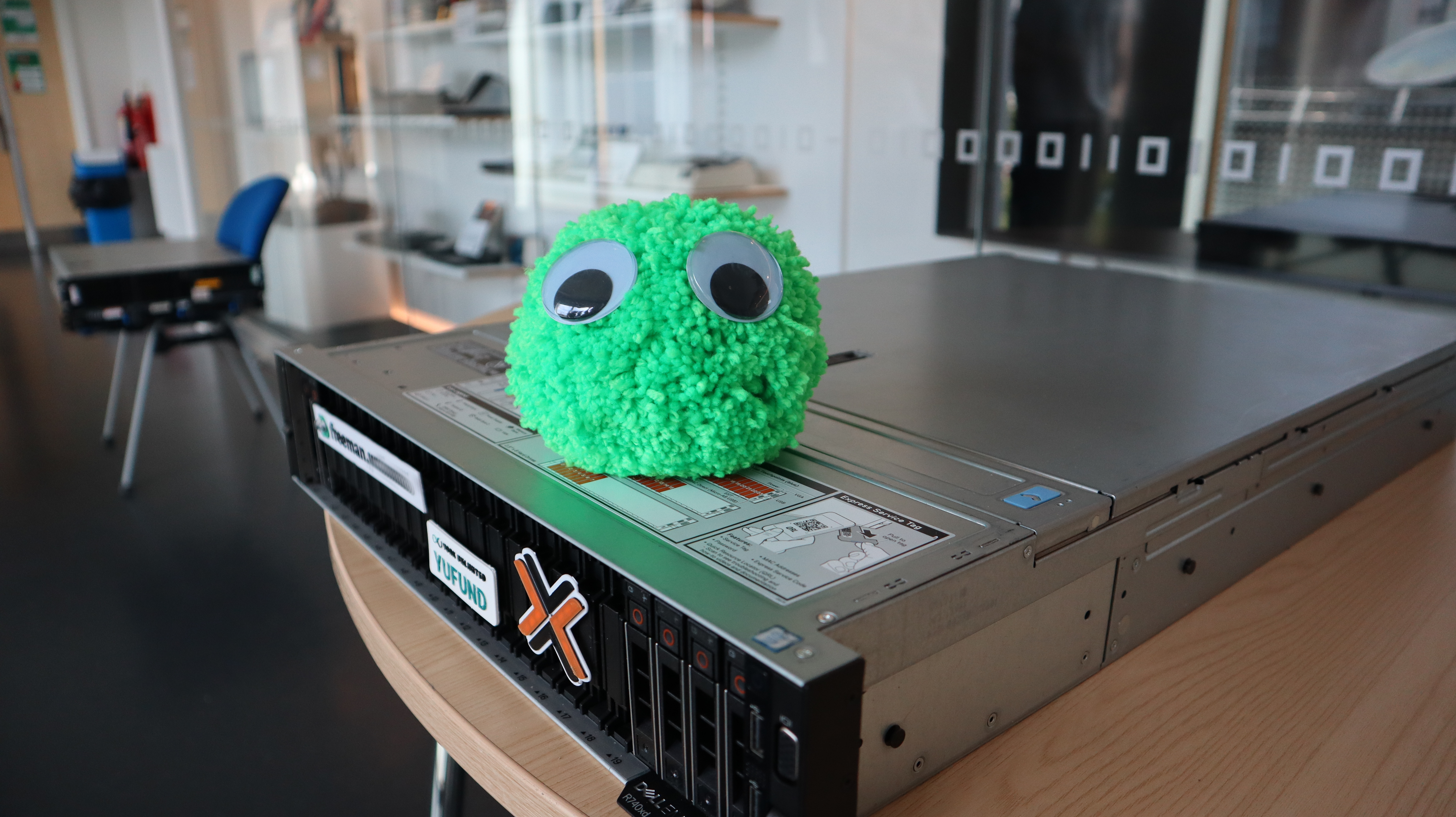 A photograph of the new server Freeman with bob the bug sitting on top